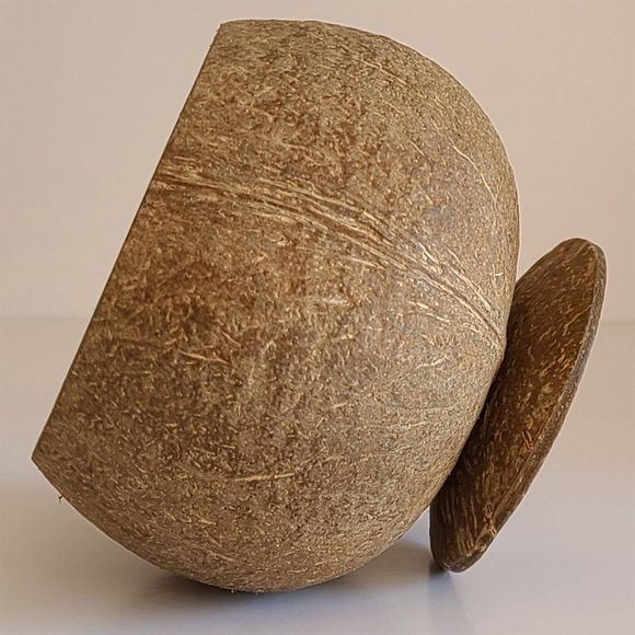 Coconut cup. coconut shell cup, wine cup, natural handmade - Picture 5 of 8